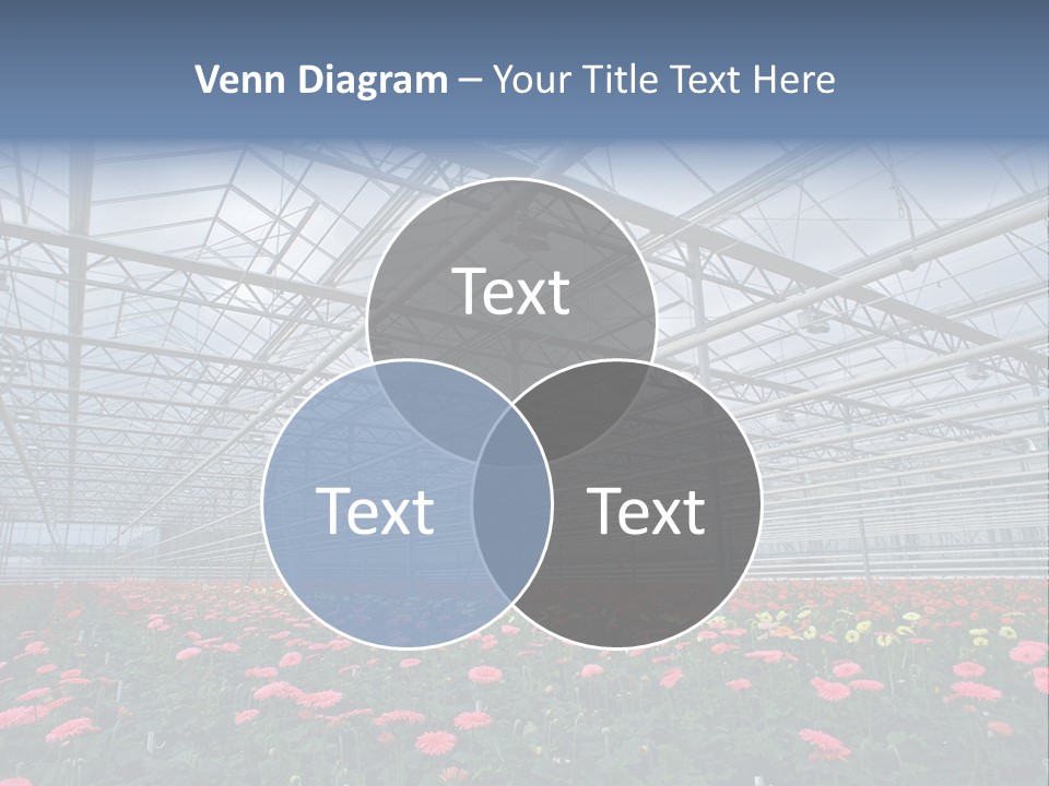 Modern Farm Growing PowerPoint Template