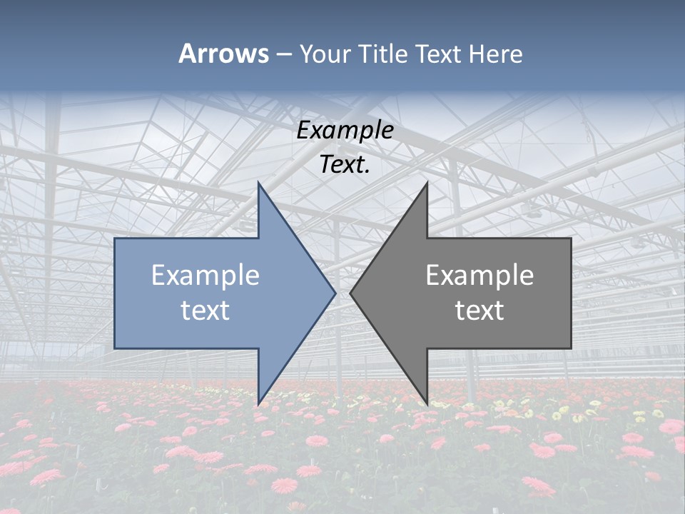 Modern Farm Growing PowerPoint Template