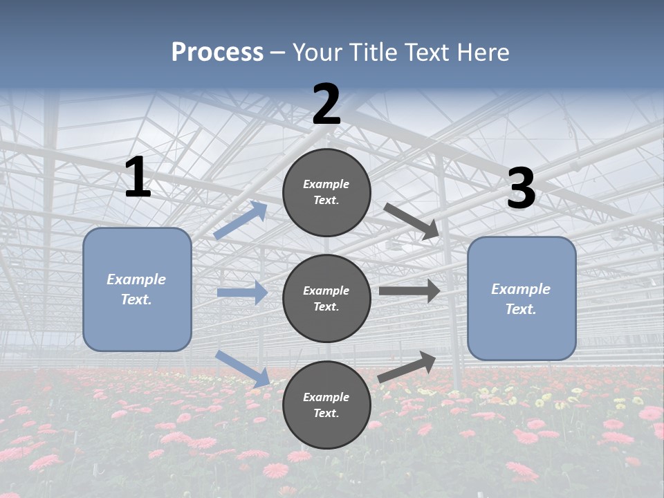 Modern Farm Growing PowerPoint Template