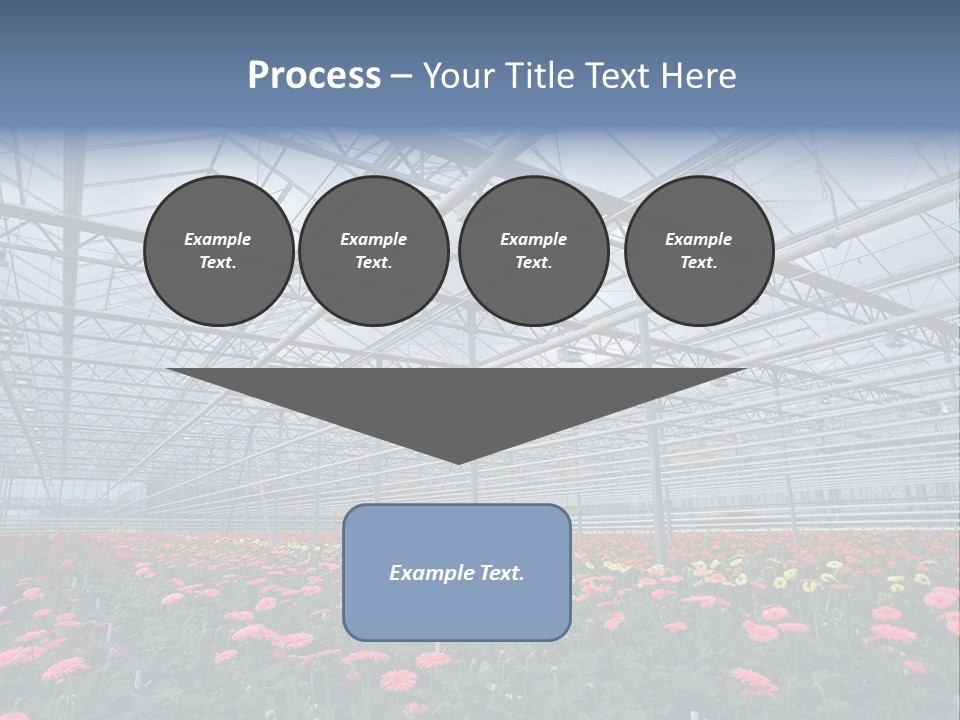 Modern Farm Growing PowerPoint Template