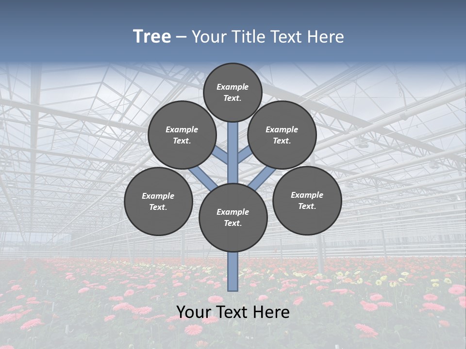 Modern Farm Growing PowerPoint Template