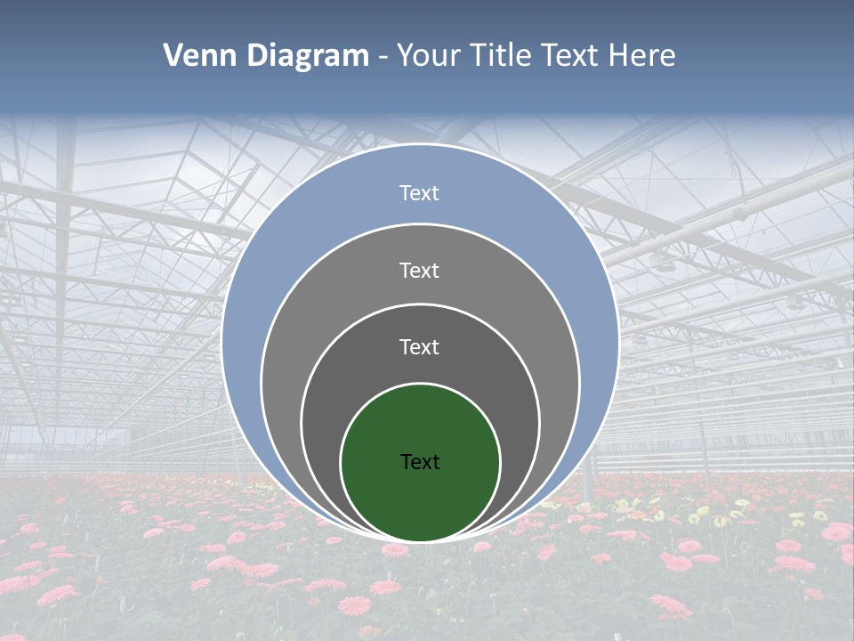 Modern Farm Growing PowerPoint Template