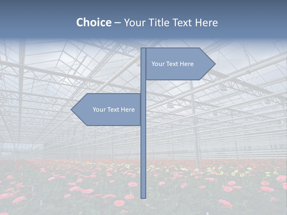 Modern Farm Growing PowerPoint Template