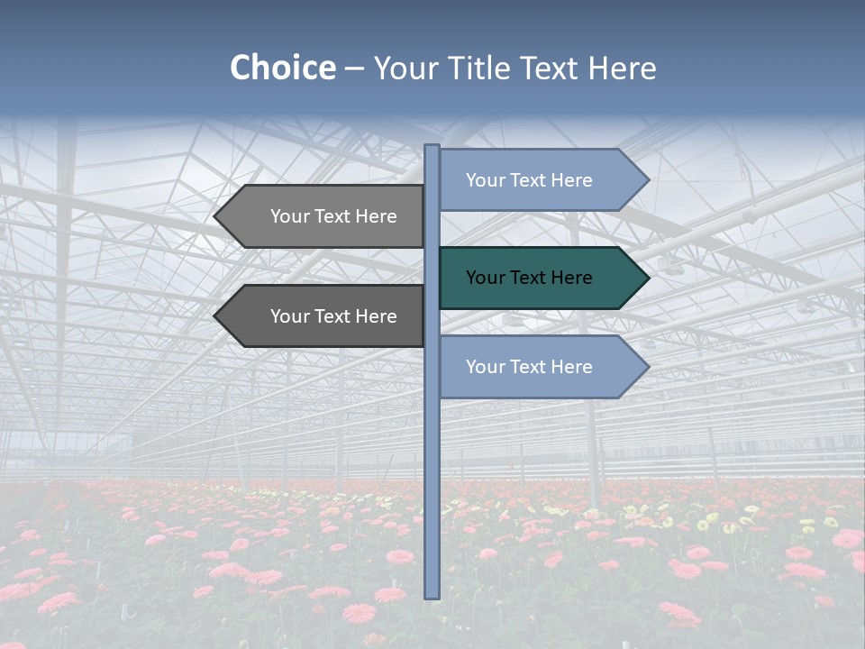 Modern Farm Growing PowerPoint Template