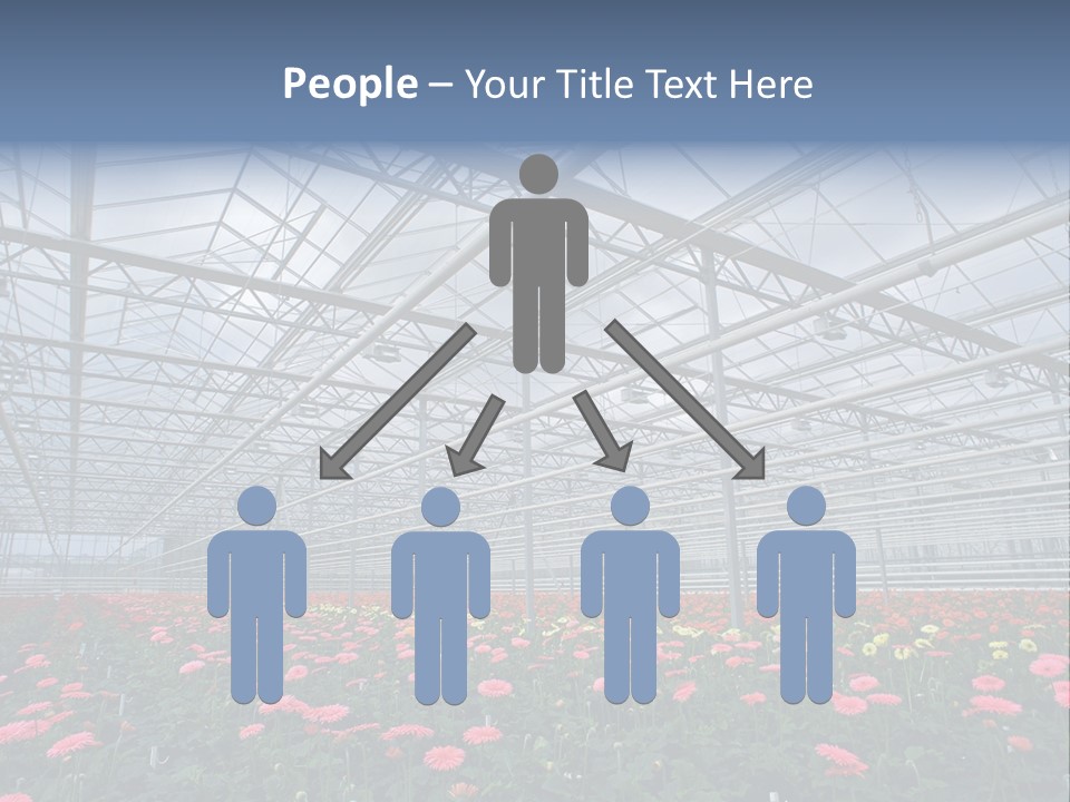 Modern Farm Growing PowerPoint Template