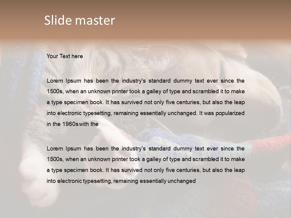 Animal Pet Sleep PowerPoint Template