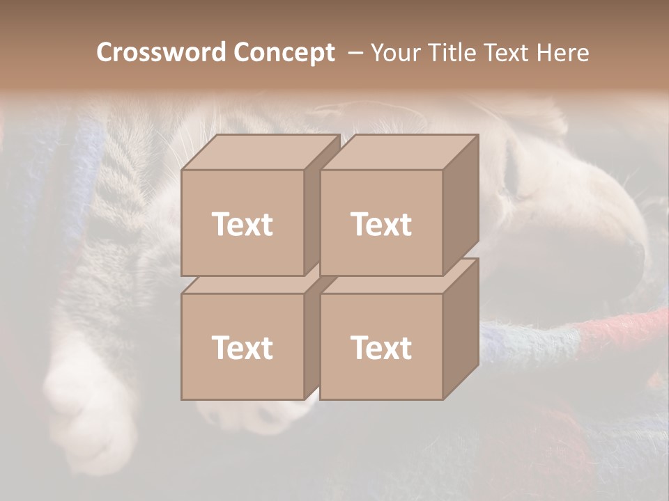 Animal Pet Sleep PowerPoint Template