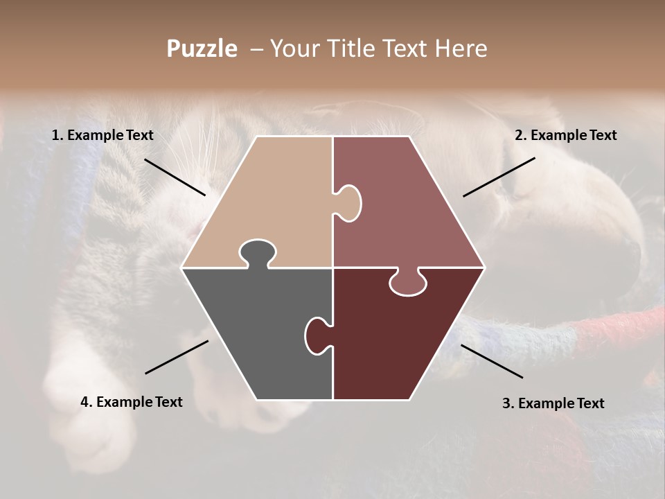 Animal Pet Sleep PowerPoint Template