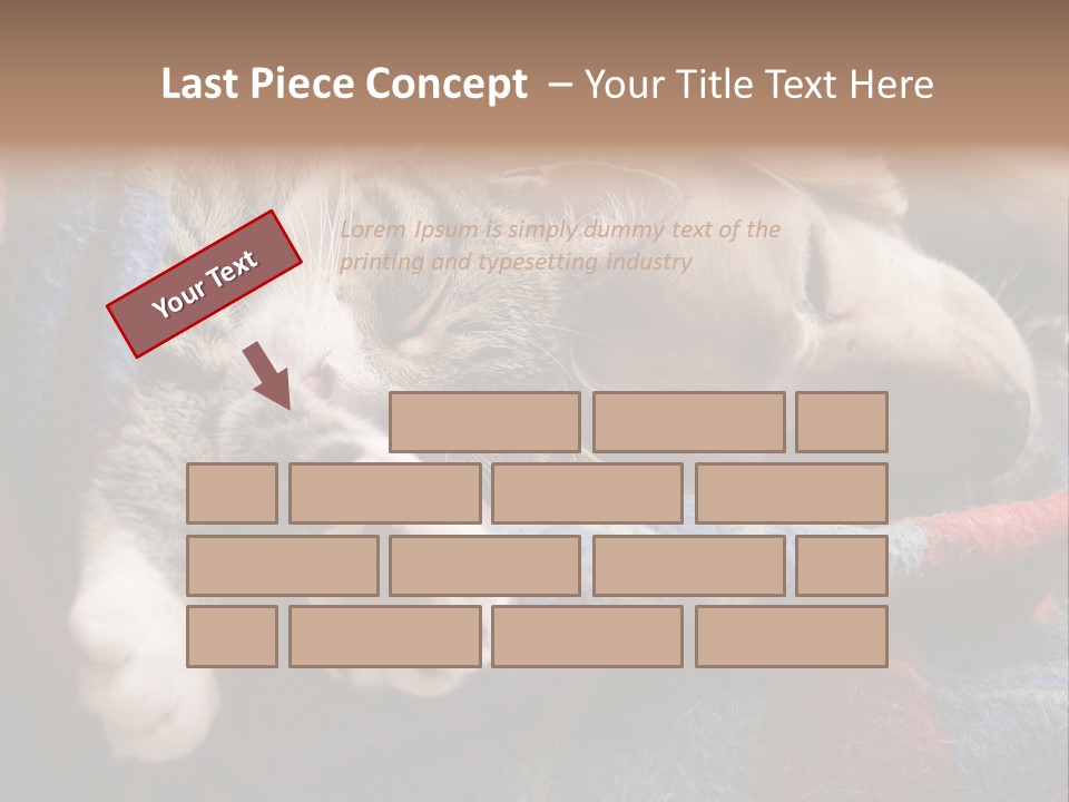 Animal Pet Sleep PowerPoint Template