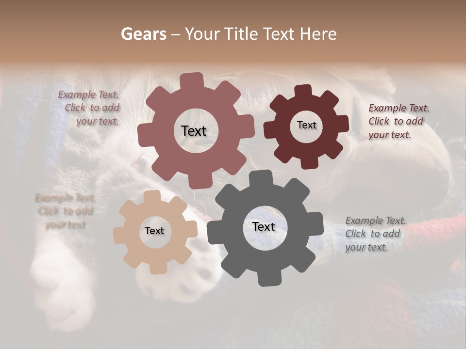 Animal Pet Sleep PowerPoint Template