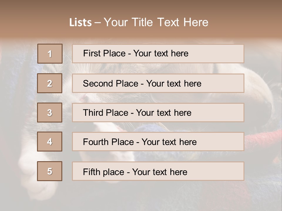 Animal Pet Sleep PowerPoint Template