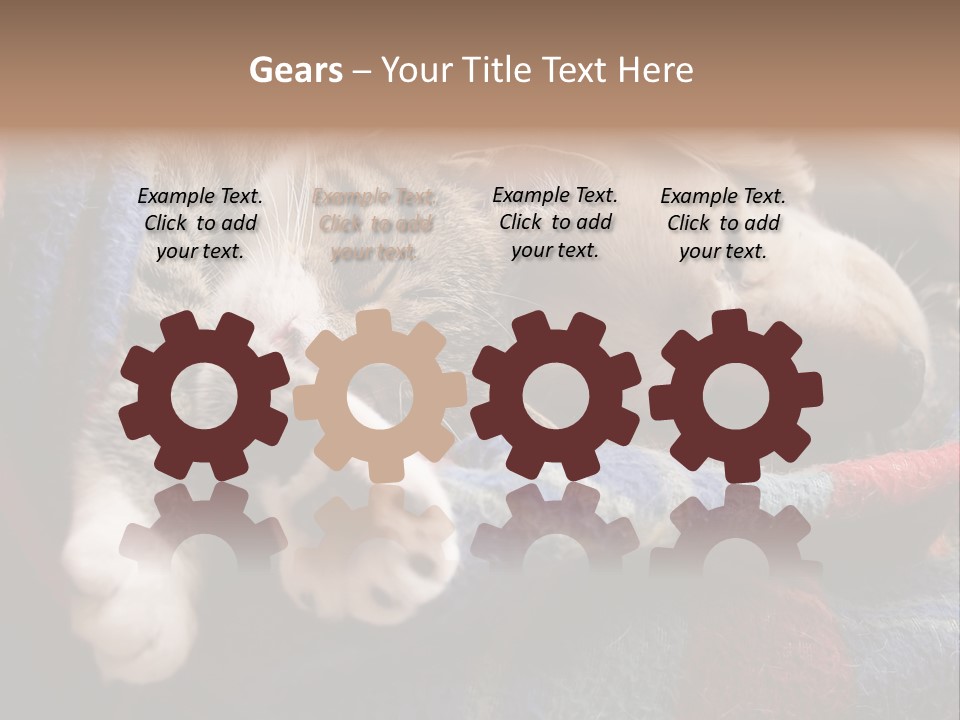 Animal Pet Sleep PowerPoint Template