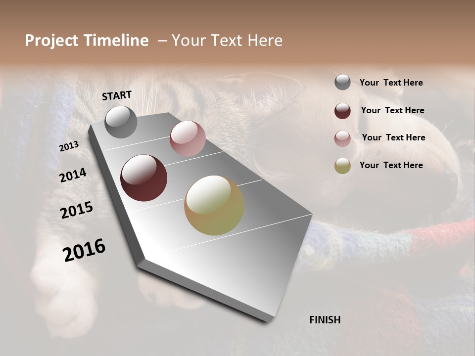 Animal Pet Sleep PowerPoint Template