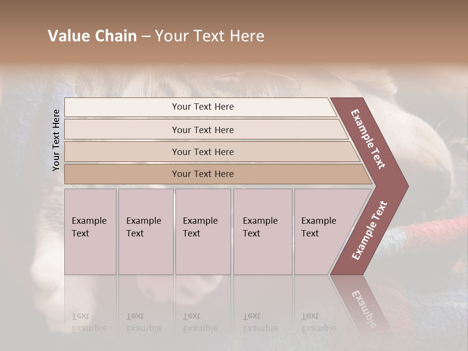 Animal Pet Sleep PowerPoint Template