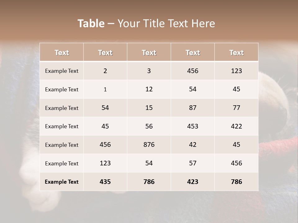 Animal Pet Sleep PowerPoint Template