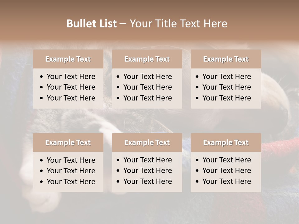 Animal Pet Sleep PowerPoint Template