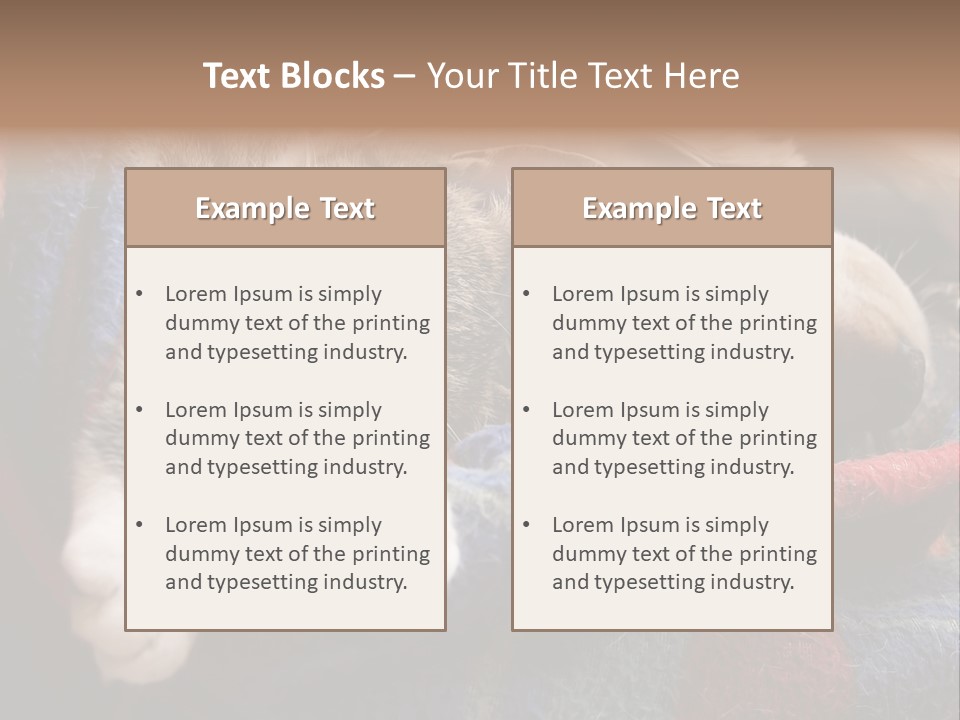 Animal Pet Sleep PowerPoint Template