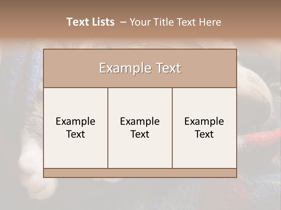 Animal Pet Sleep PowerPoint Template
