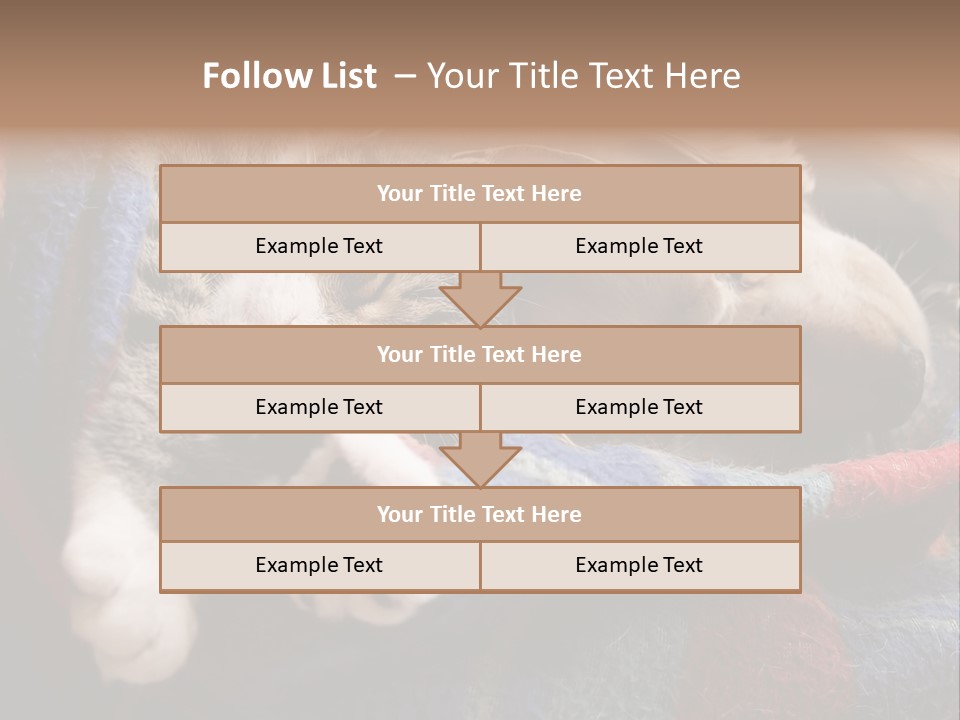 Animal Pet Sleep PowerPoint Template