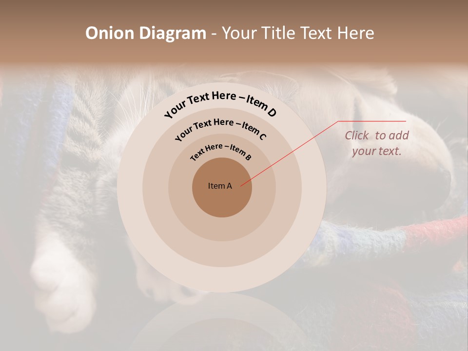 Animal Pet Sleep PowerPoint Template