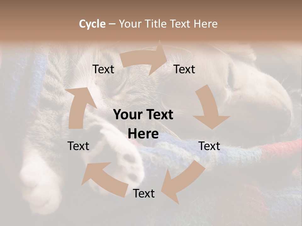 Animal Pet Sleep PowerPoint Template