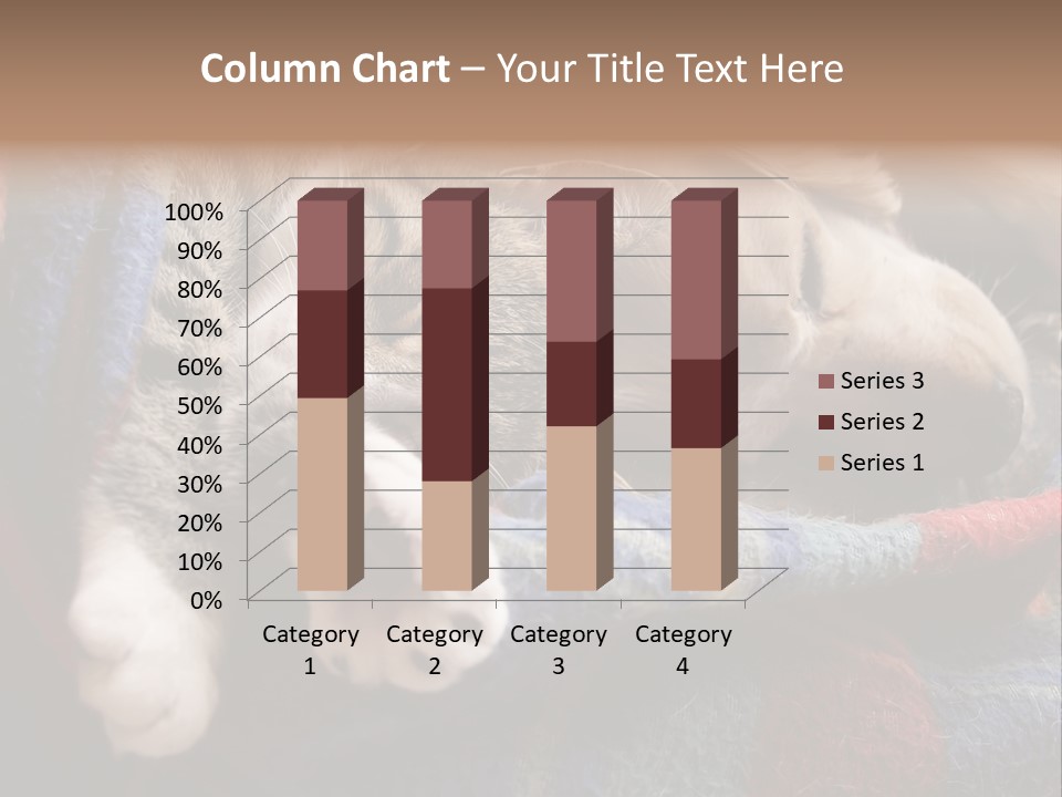 Animal Pet Sleep PowerPoint Template