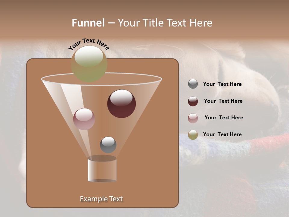 Animal Pet Sleep PowerPoint Template