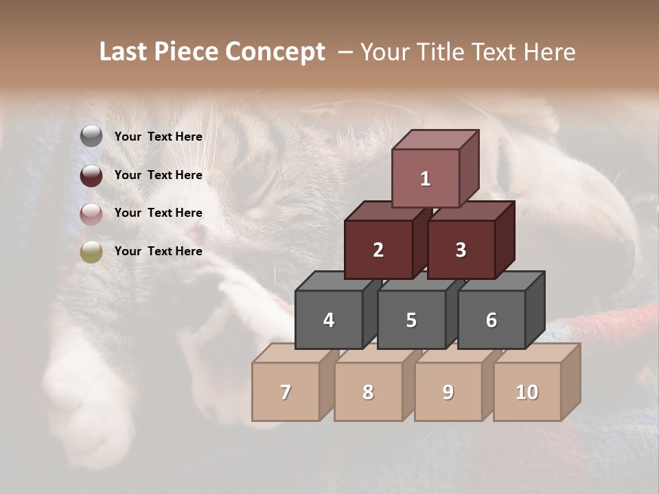 Animal Pet Sleep PowerPoint Template