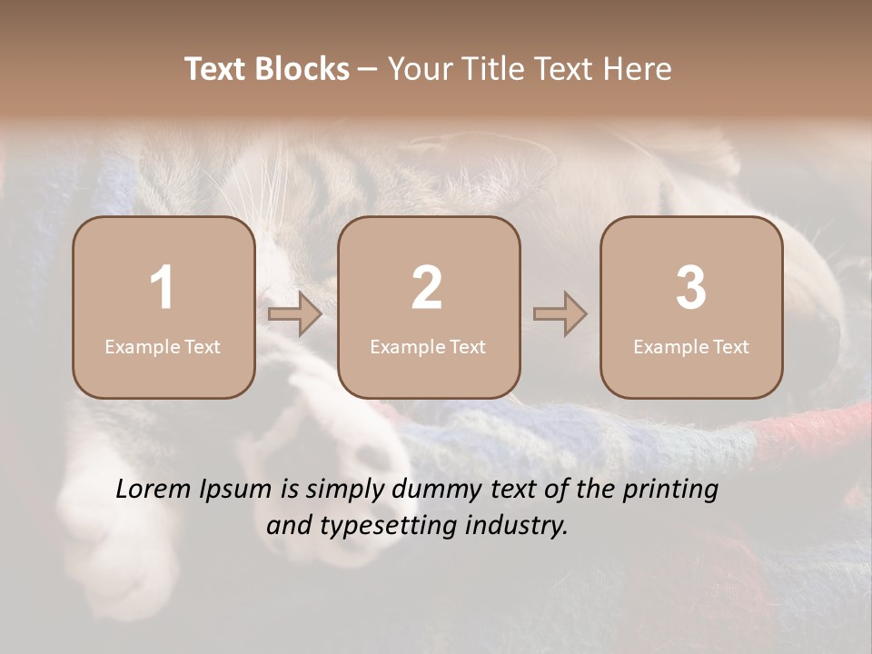 Animal Pet Sleep PowerPoint Template