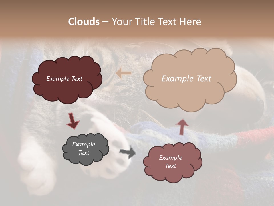 Animal Pet Sleep PowerPoint Template