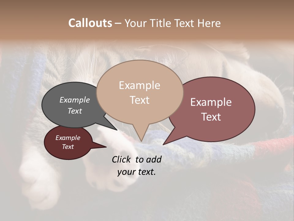 Animal Pet Sleep PowerPoint Template