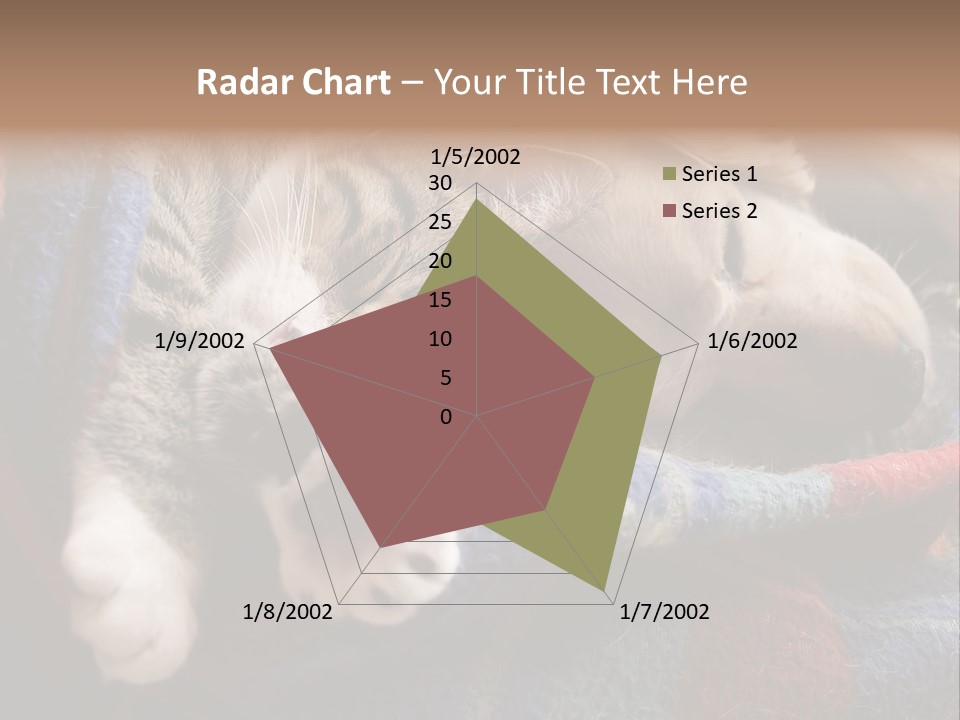 Animal Pet Sleep PowerPoint Template