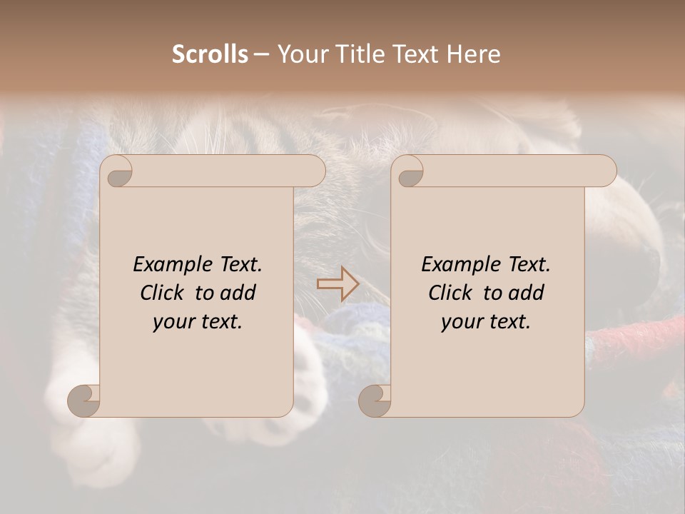 Animal Pet Sleep PowerPoint Template