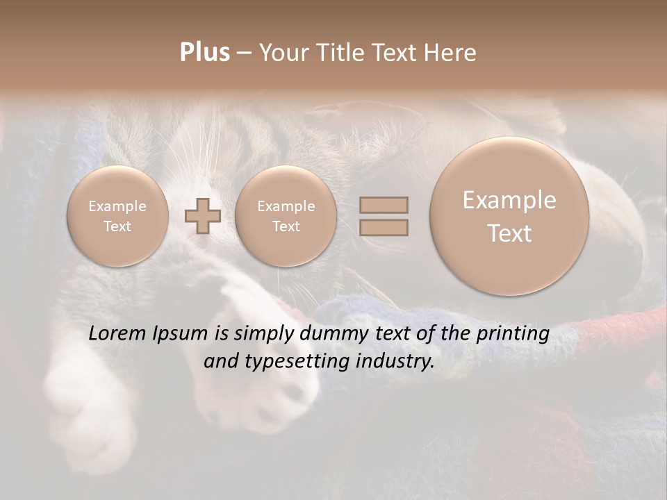 Animal Pet Sleep PowerPoint Template