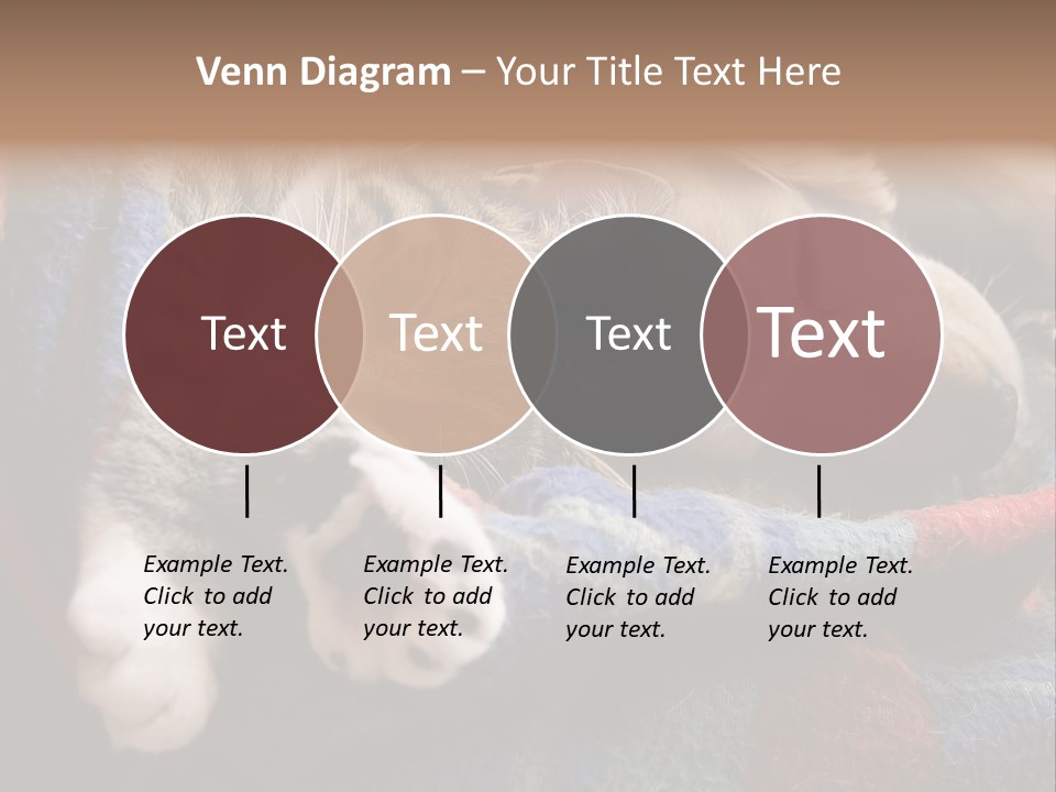 Animal Pet Sleep PowerPoint Template