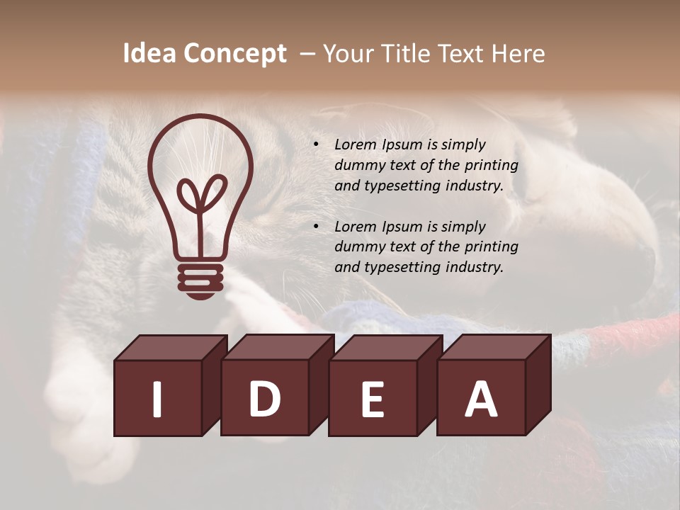 Animal Pet Sleep PowerPoint Template