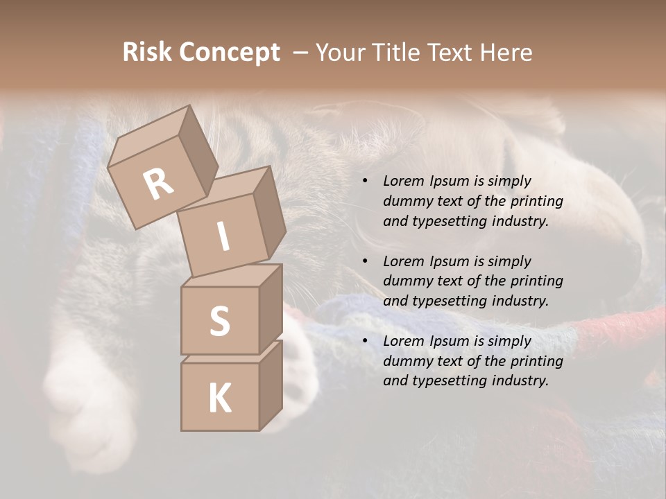 Animal Pet Sleep PowerPoint Template