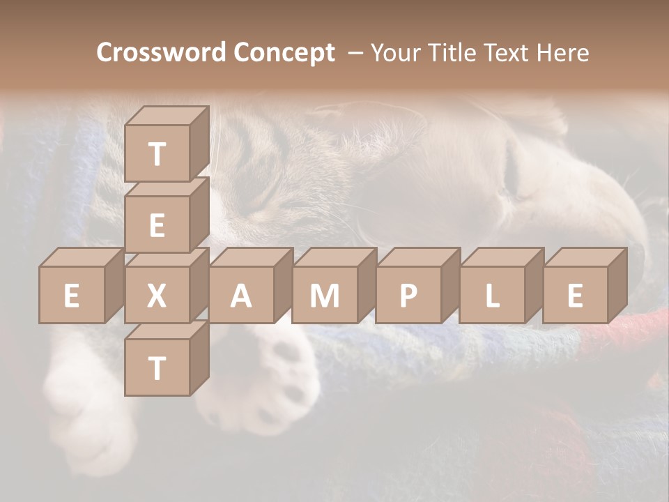 Animal Pet Sleep PowerPoint Template