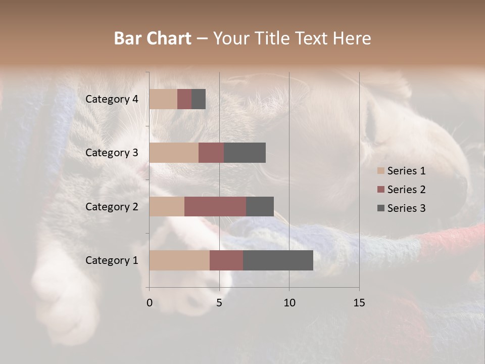 Animal Pet Sleep PowerPoint Template