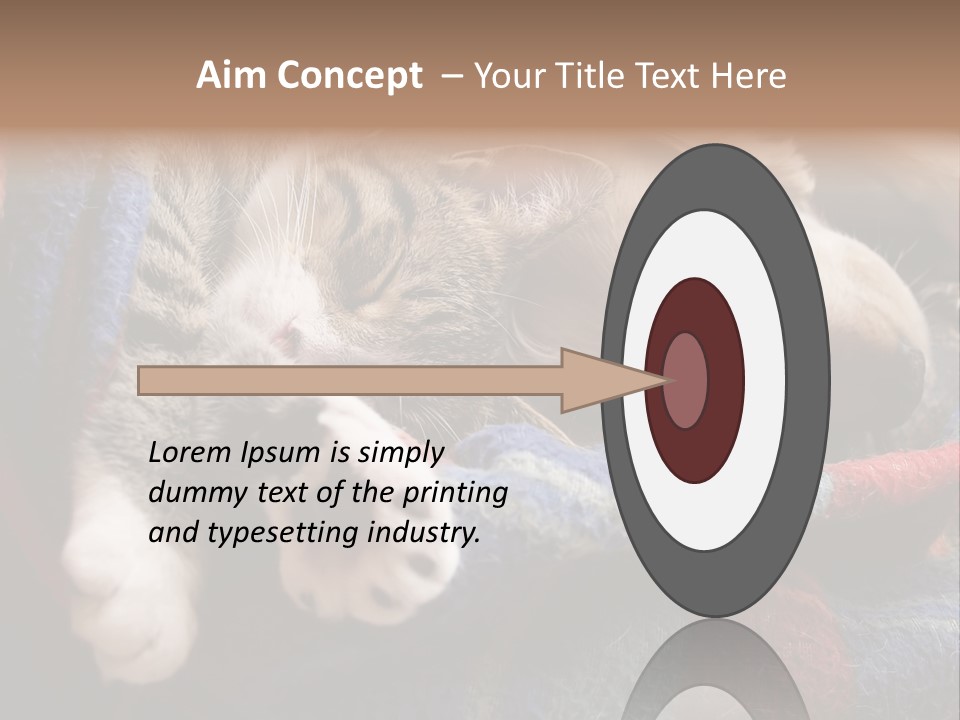 Animal Pet Sleep PowerPoint Template