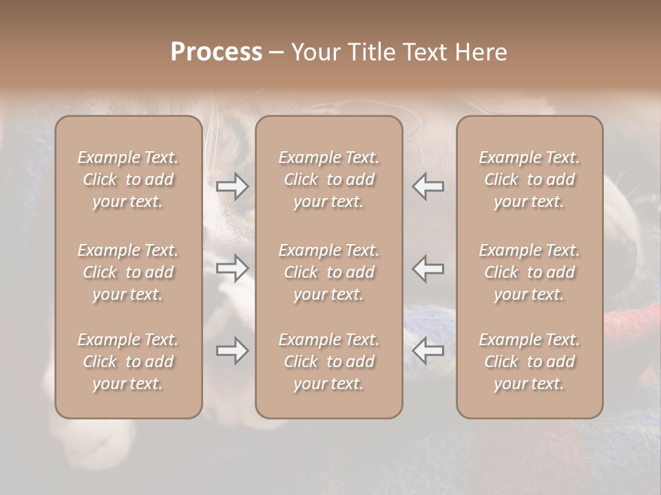 Animal Pet Sleep PowerPoint Template