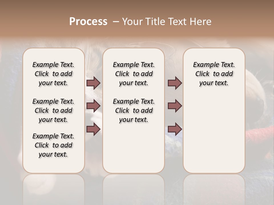 Animal Pet Sleep PowerPoint Template