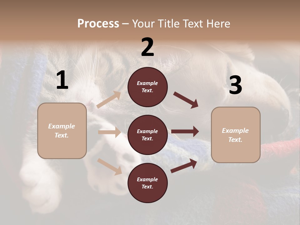 Animal Pet Sleep PowerPoint Template