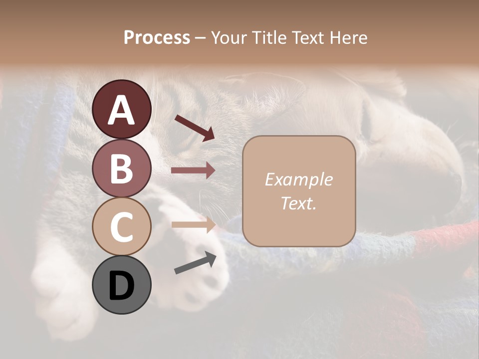 Animal Pet Sleep PowerPoint Template