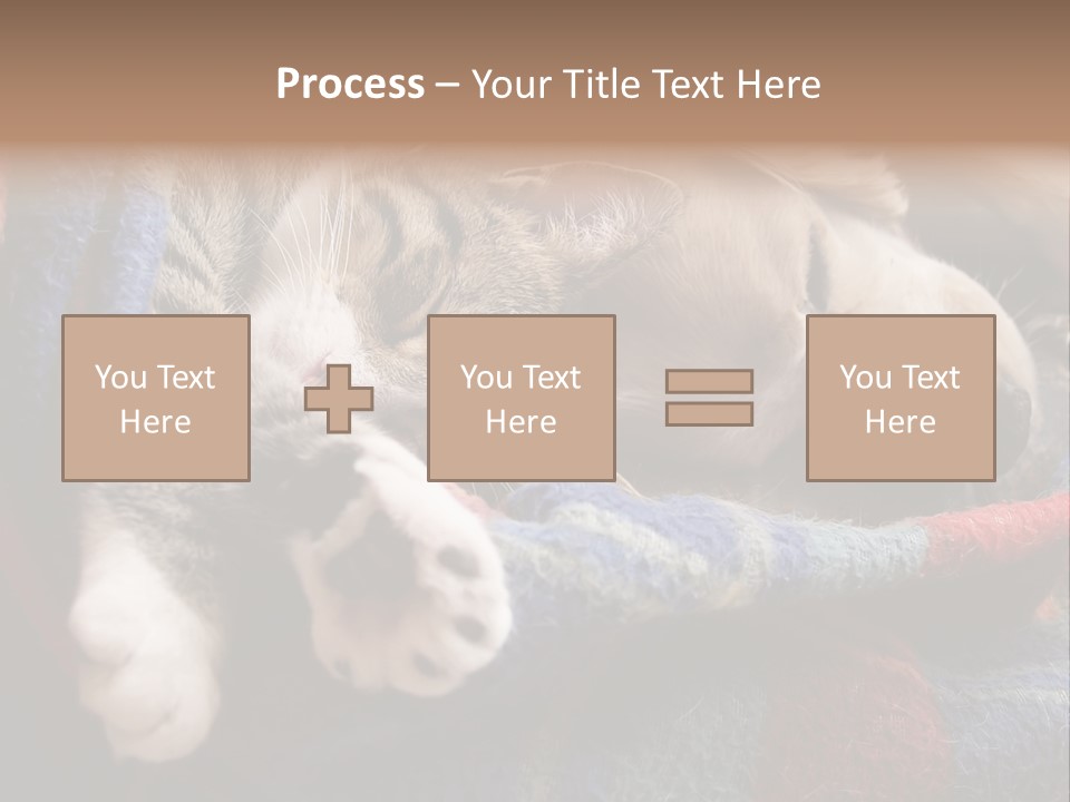 Animal Pet Sleep PowerPoint Template