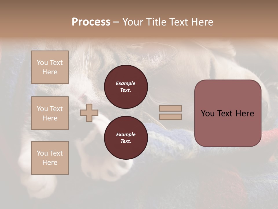 Animal Pet Sleep PowerPoint Template