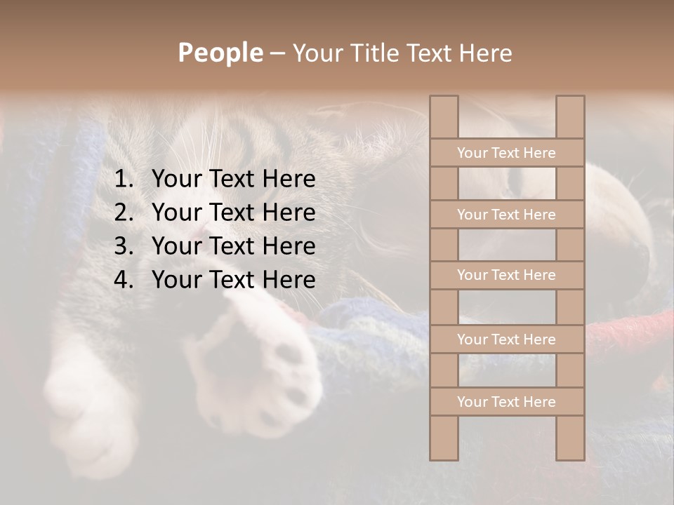 Animal Pet Sleep PowerPoint Template