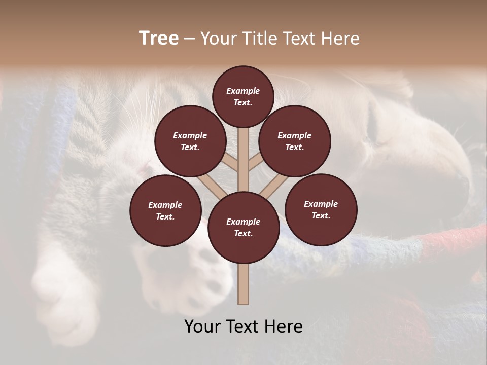 Animal Pet Sleep PowerPoint Template