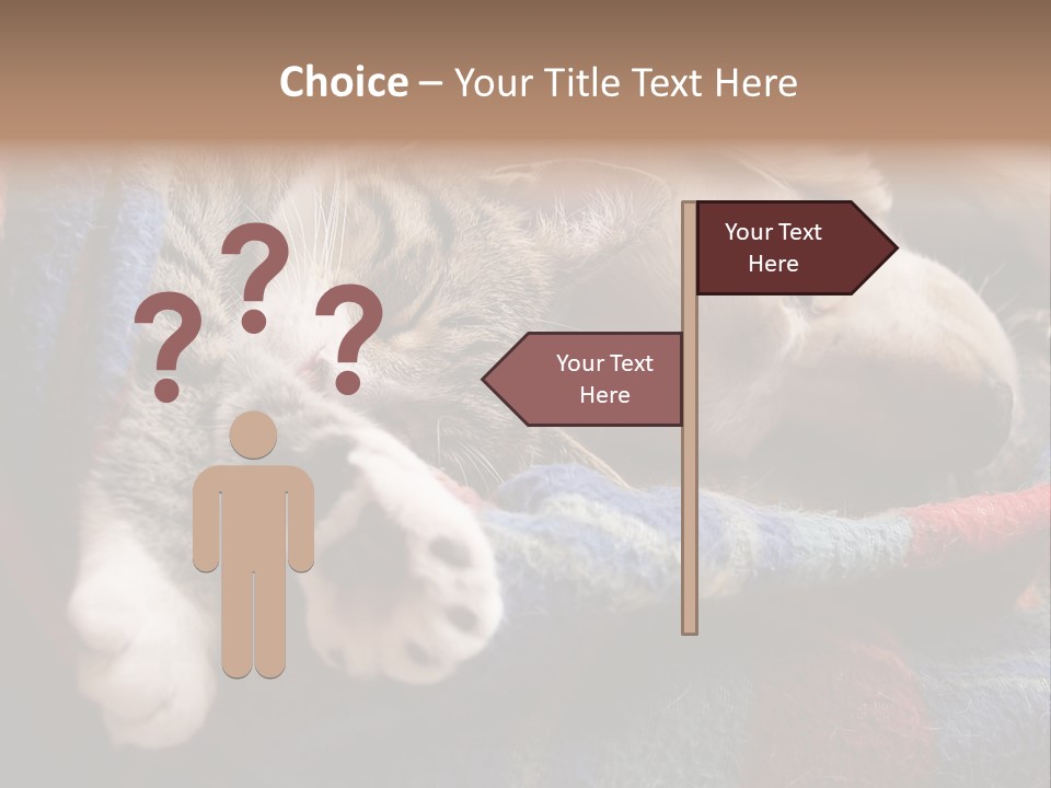 Animal Pet Sleep PowerPoint Template