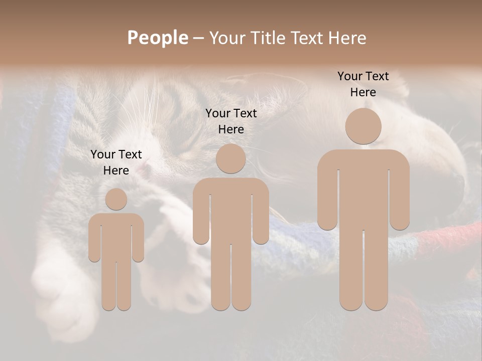 Animal Pet Sleep PowerPoint Template